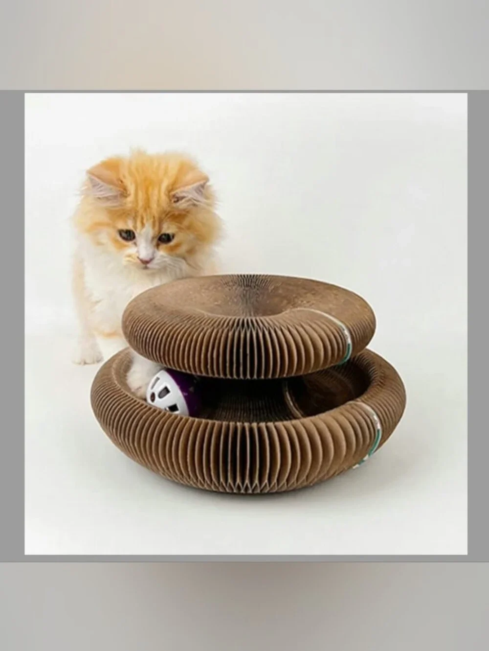 Interactive 😺  Toy & Cardboard Cat Scratcher Set of 2